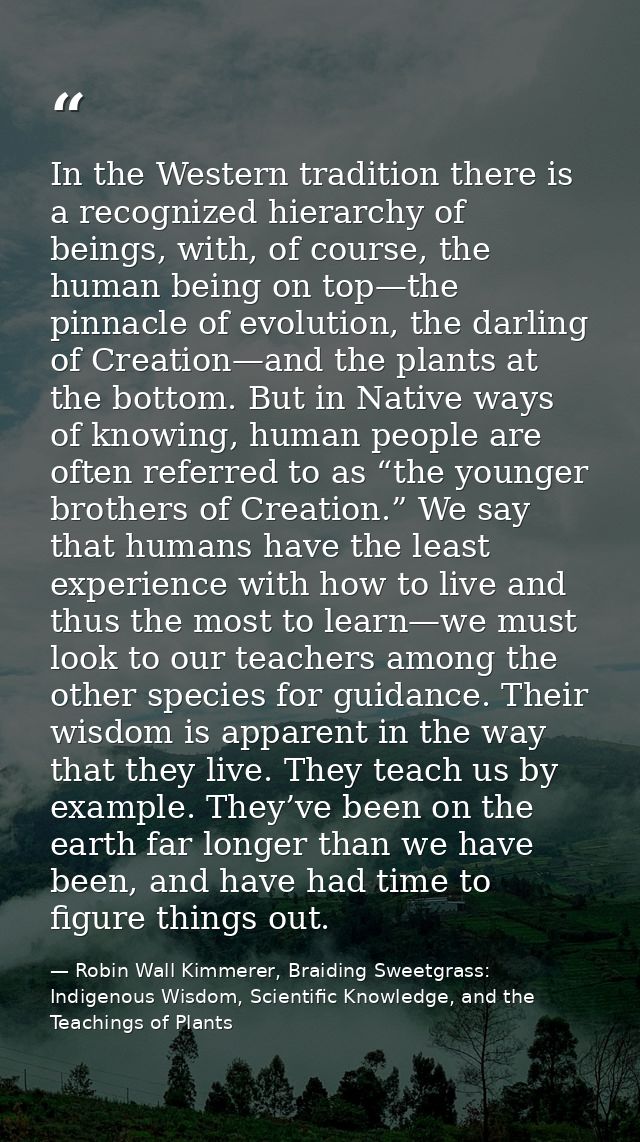 In the Western tradition there is a recognized hierarchy of beings, with, of course, the human being on top—the pinnacle — Robin Wall Kimmerer, Braiding Sweetgrass: Indigenous Wisdom, Scientific Knowledge, and the Teachings of Plants