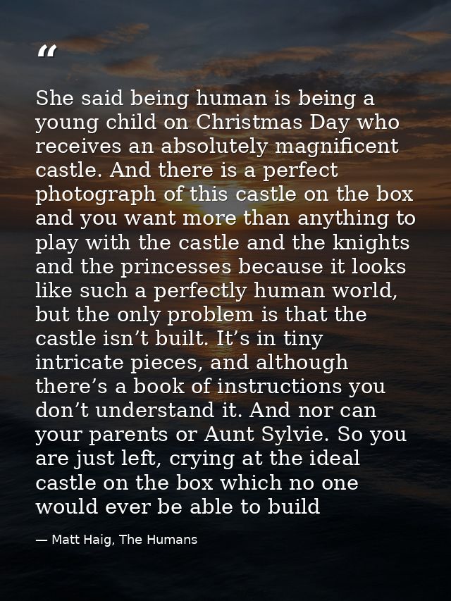 She said being human is being a young child on Christmas Day who receives an absolutely magnificent castle. And there is — Matt Haig, The Humans