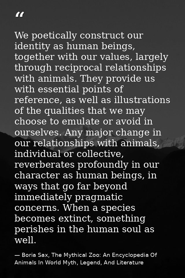 We poetically construct our identity as human beings, together with our values, largely through reciprocal relationships — Boria Sax, The Mythical Zoo: An Encyclopedia Of Animals In World Myth, Legend, And Literature