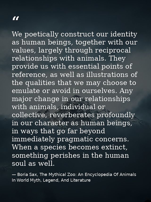 We poetically construct our identity as human beings, together with our values, largely through reciprocal relationships — Boria Sax, The Mythical Zoo: An Encyclopedia Of Animals In World Myth, Legend, And Literature