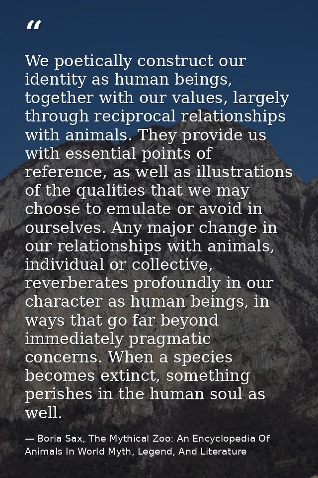 We poetically construct our identity as human beings, together with our values, largely through reciprocal relationships — Boria Sax, The Mythical Zoo: An Encyclopedia Of Animals In World Myth, Legend, And Literature