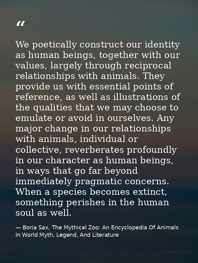 We poetically construct our identity as human beings, together with our values, largely through reciprocal relationships — Boria Sax, The Mythical Zoo: An Encyclopedia Of Animals In World Myth, Legend, And Literature