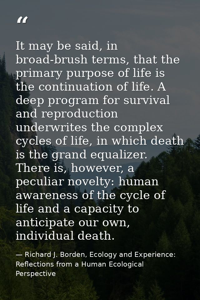 It may be said, in broad-brush terms, that the primary purpose of life is the continuation of life. A deep program for s — Richard J. Borden, Ecology and Experience: Reflections from a Human Ecological Perspective