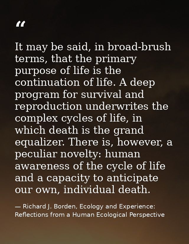 It may be said, in broad-brush terms, that the primary purpose of life is the continuation of life. A deep program for s — Richard J. Borden, Ecology and Experience: Reflections from a Human Ecological Perspective