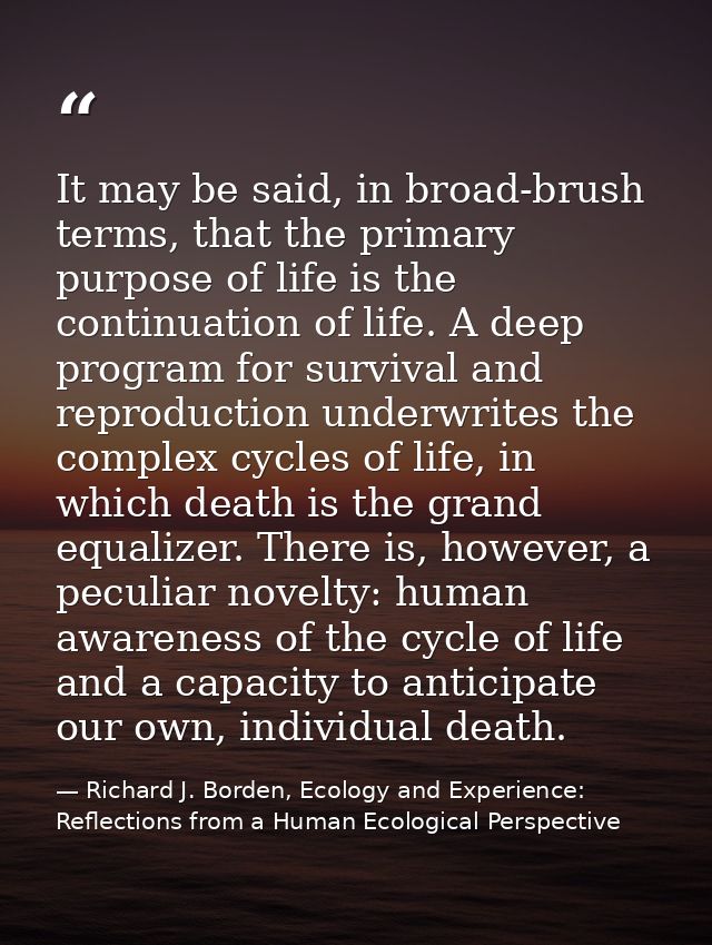 It may be said, in broad-brush terms, that the primary purpose of life is the continuation of life. A deep program for s — Richard J. Borden, Ecology and Experience: Reflections from a Human Ecological Perspective