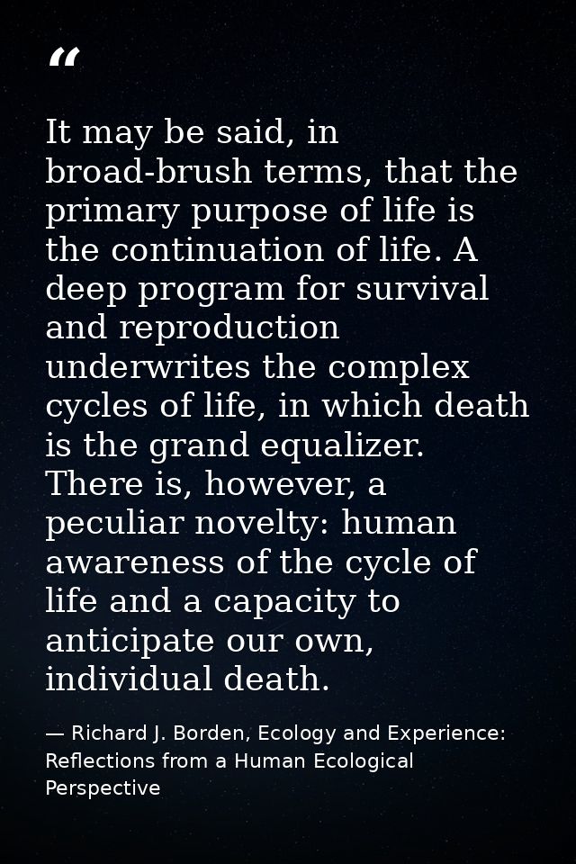 It may be said, in broad-brush terms, that the primary purpose of life is the continuation of life. A deep program for s — Richard J. Borden, Ecology and Experience: Reflections from a Human Ecological Perspective