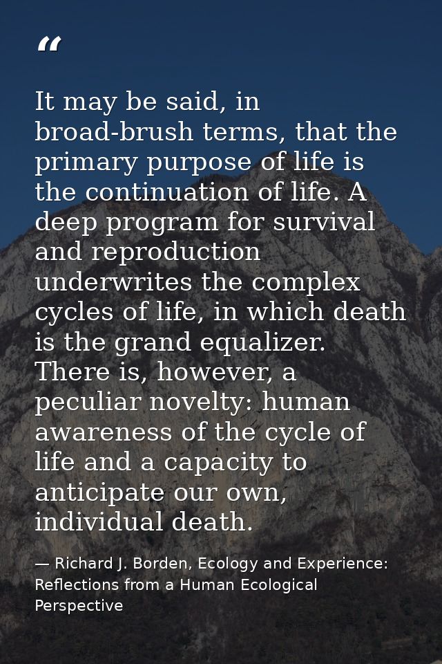 It may be said, in broad-brush terms, that the primary purpose of life is the continuation of life. A deep program for s — Richard J. Borden, Ecology and Experience: Reflections from a Human Ecological Perspective
