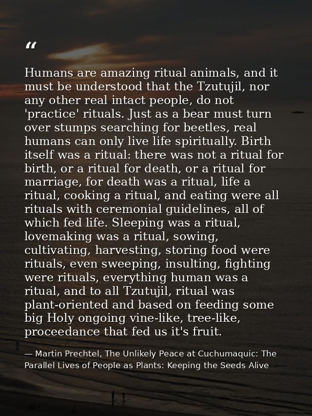 Humans are amazing ritual animals, and it must be understood that the Tzutujil, nor any other real intact people, do not — Martin Prechtel, The Unlikely Peace at Cuchumaquic: The Parallel Lives of People as Plants: Keeping the Seeds Alive