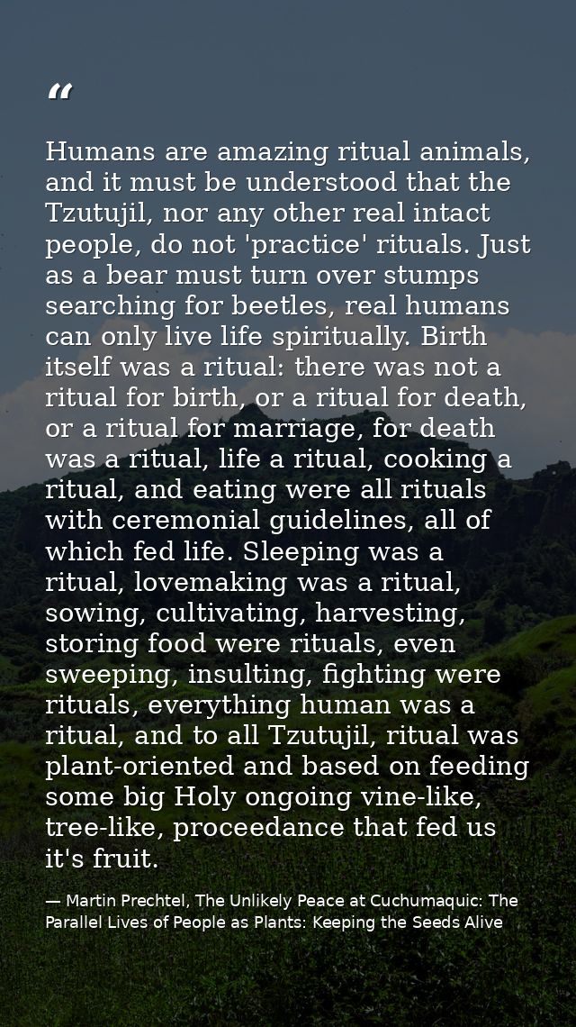 Humans are amazing ritual animals, and it must be understood that the Tzutujil, nor any other real intact people, do not — Martin Prechtel, The Unlikely Peace at Cuchumaquic: The Parallel Lives of People as Plants: Keeping the Seeds Alive