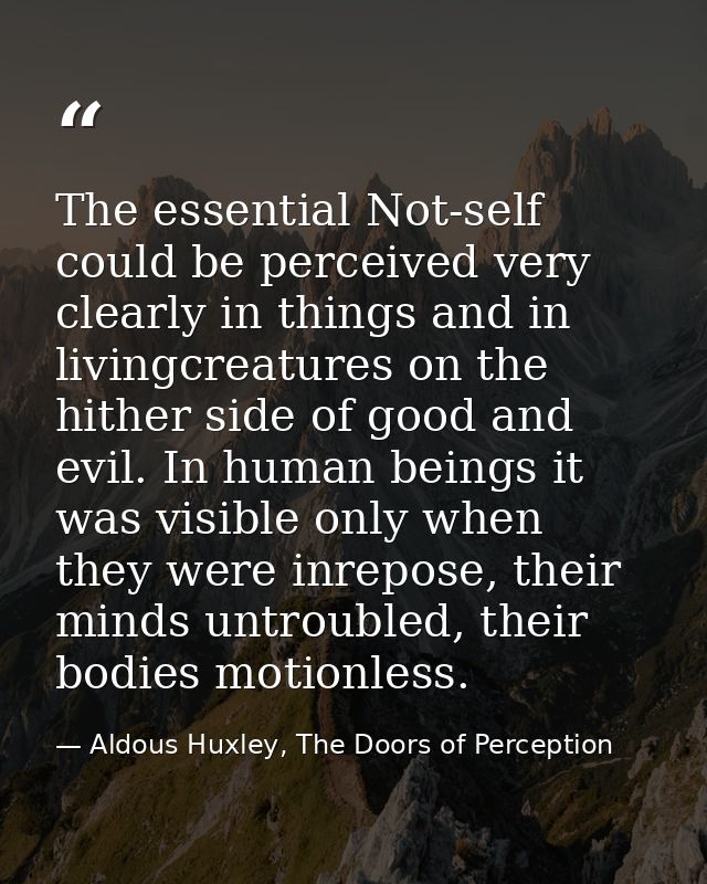The essential Not-self could be perceived very clearly in things and in livingcreatures on the hither side of good and e — Aldous Huxley, The Doors of Perception