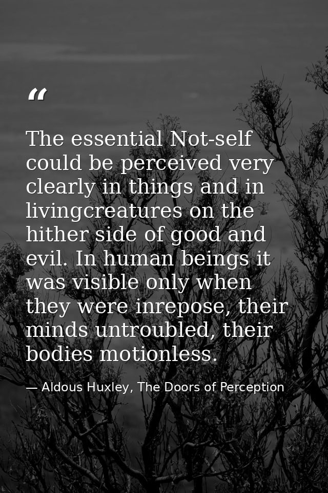 The essential Not-self could be perceived very clearly in things and in livingcreatures on the hither side of good and e — Aldous Huxley, The Doors of Perception