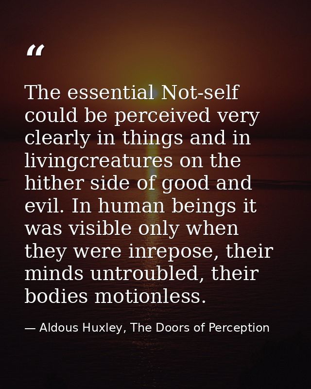 The essential Not-self could be perceived very clearly in things and in livingcreatures on the hither side of good and e — Aldous Huxley, The Doors of Perception