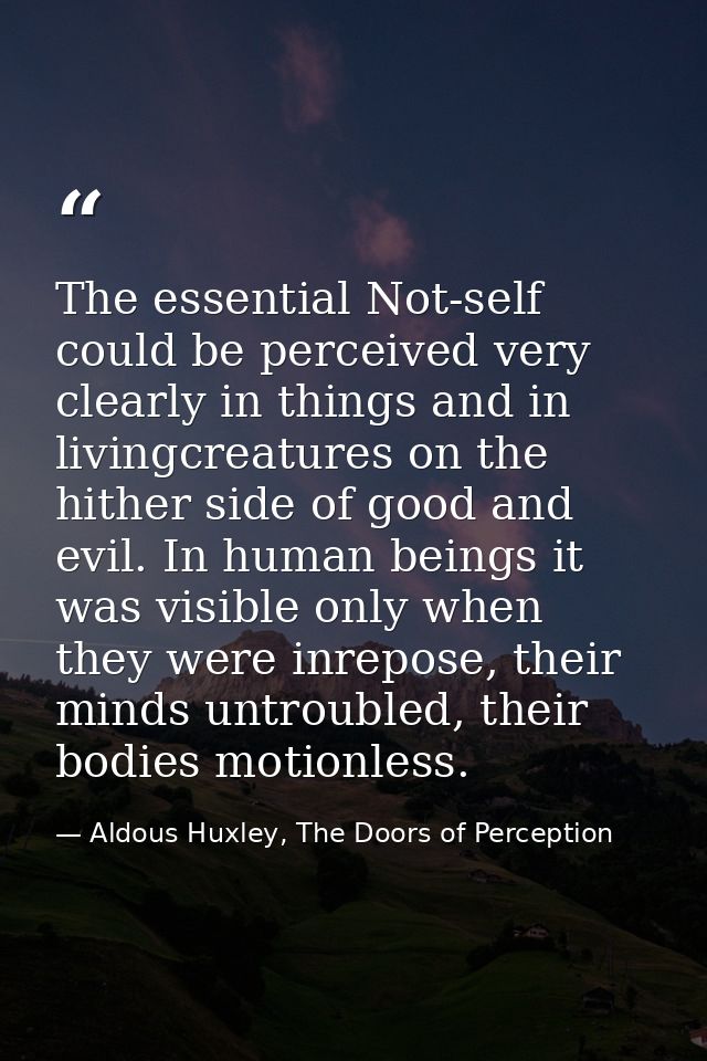 The essential Not-self could be perceived very clearly in things and in livingcreatures on the hither side of good and e — Aldous Huxley, The Doors of Perception
