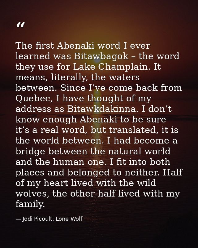The first Abenaki word I ever learned was Bitawbagok – the word they use for Lake Champlain. It means, literally, the wa — Jodi Picoult, Lone Wolf
