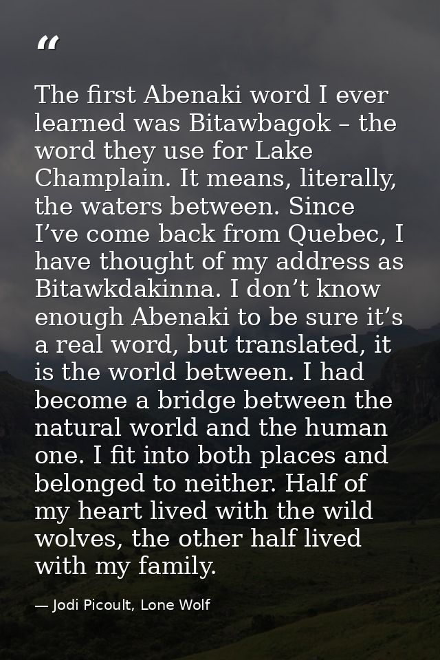 The first Abenaki word I ever learned was Bitawbagok – the word they use for Lake Champlain. It means, literally, the wa — Jodi Picoult, Lone Wolf