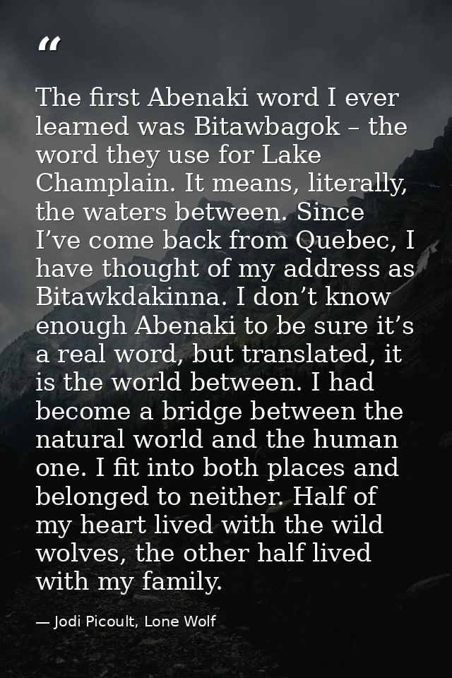 The first Abenaki word I ever learned was Bitawbagok – the word they use for Lake Champlain. It means, literally, the wa — Jodi Picoult, Lone Wolf