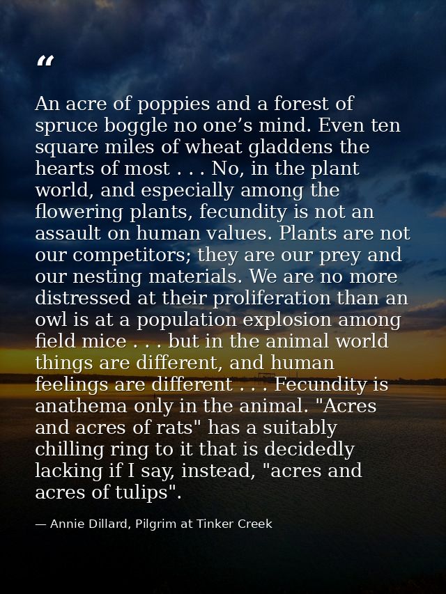 An acre of poppies and a forest of spruce boggle no one’s mind. Even ten square miles of wheat gladdens the hearts of mo — Annie Dillard, Pilgrim at Tinker Creek