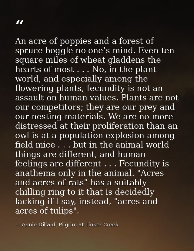 An acre of poppies and a forest of spruce boggle no one’s mind. Even ten square miles of wheat gladdens the hearts of mo — Annie Dillard, Pilgrim at Tinker Creek