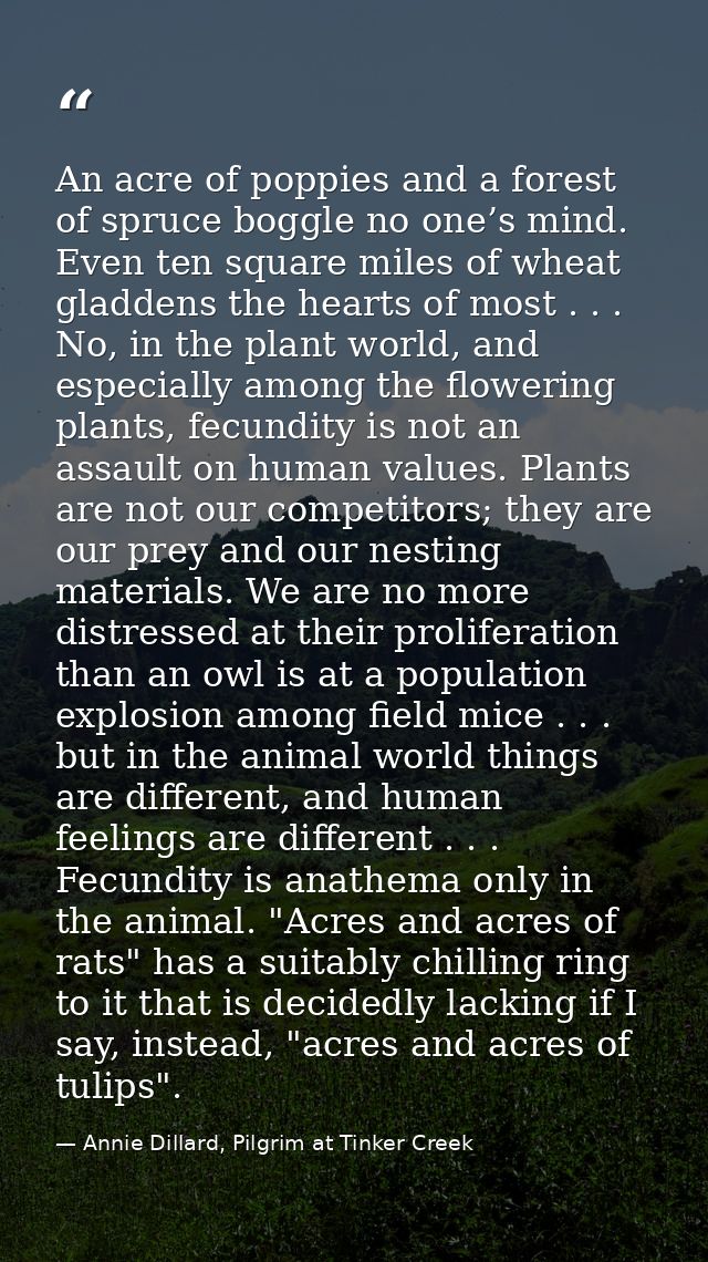 An acre of poppies and a forest of spruce boggle no one’s mind. Even ten square miles of wheat gladdens the hearts of mo — Annie Dillard, Pilgrim at Tinker Creek