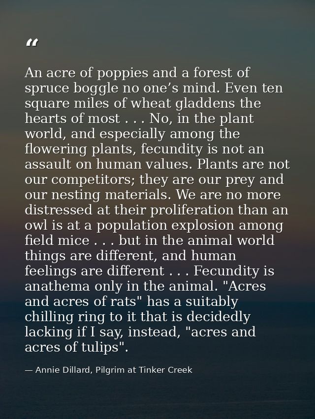 An acre of poppies and a forest of spruce boggle no one’s mind. Even ten square miles of wheat gladdens the hearts of mo — Annie Dillard, Pilgrim at Tinker Creek