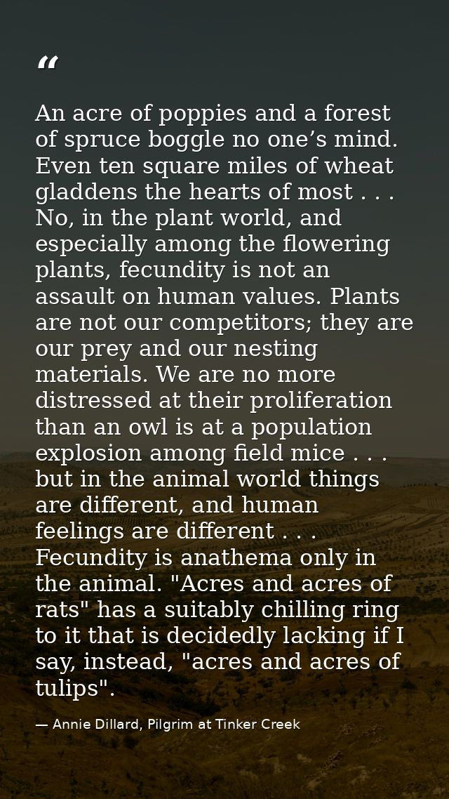 An acre of poppies and a forest of spruce boggle no one’s mind. Even ten square miles of wheat gladdens the hearts of mo — Annie Dillard, Pilgrim at Tinker Creek
