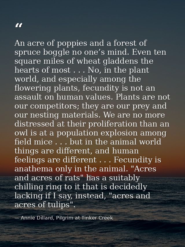 An acre of poppies and a forest of spruce boggle no one’s mind. Even ten square miles of wheat gladdens the hearts of mo — Annie Dillard, Pilgrim at Tinker Creek