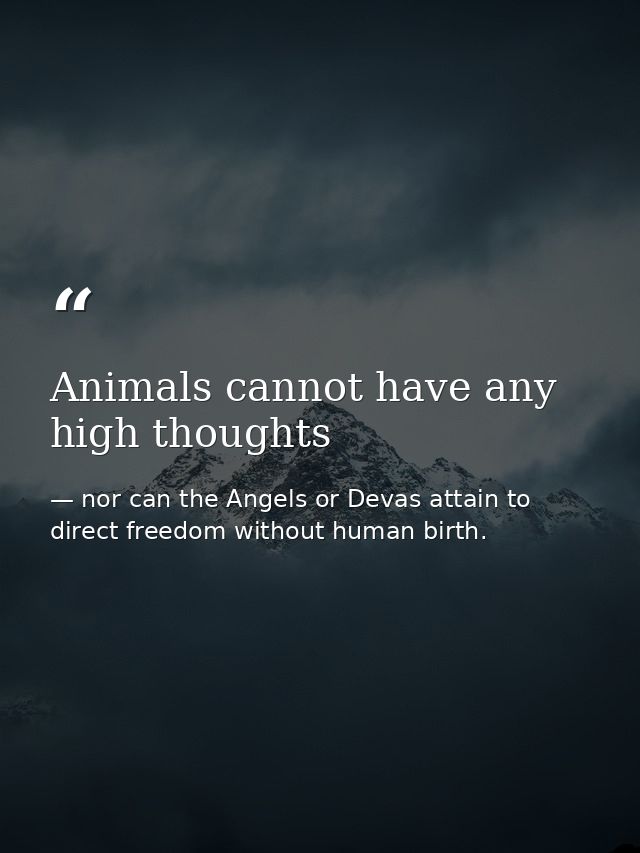 Animals cannot have any high thoughts — nor can the Angels or Devas attain to direct freedom without human birth.