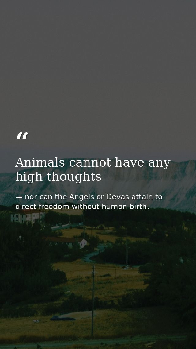 Animals cannot have any high thoughts — nor can the Angels or Devas attain to direct freedom without human birth.