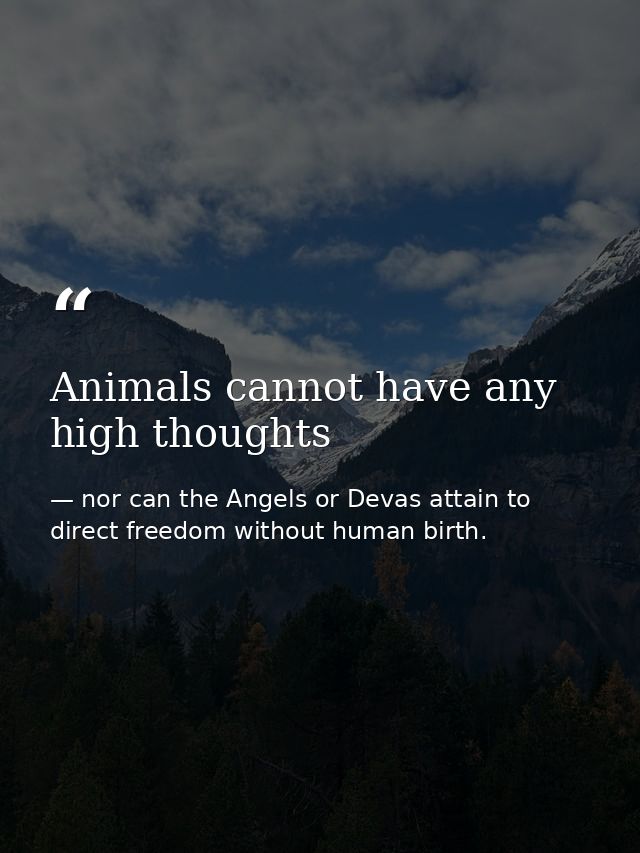 Animals cannot have any high thoughts — nor can the Angels or Devas attain to direct freedom without human birth.