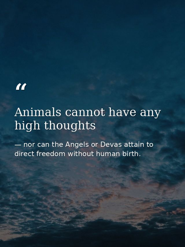 Animals cannot have any high thoughts — nor can the Angels or Devas attain to direct freedom without human birth.