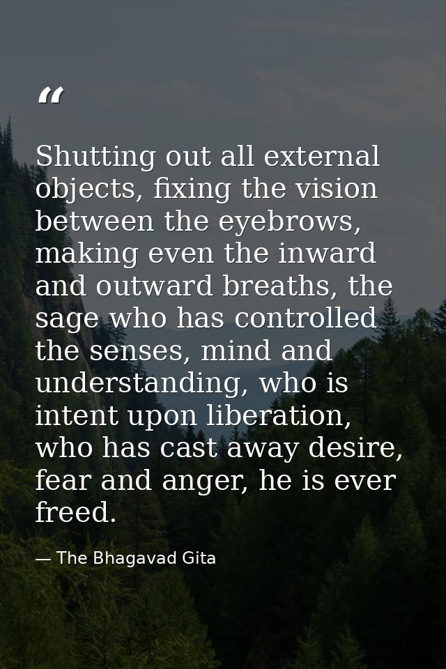Shutting out all external objects, fixing the vision between the eyebrows, making even the inward and outward breaths, t — The Bhagavad Gita