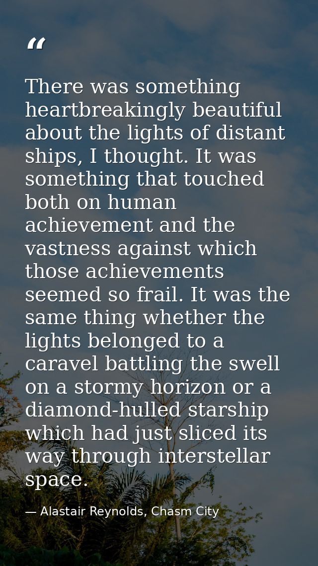 There was something heartbreakingly beautiful about the lights of distant ships, I thought. It was something that touche — Alastair Reynolds, Chasm City