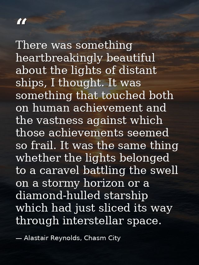 There was something heartbreakingly beautiful about the lights of distant ships, I thought. It was something that touche — Alastair Reynolds, Chasm City