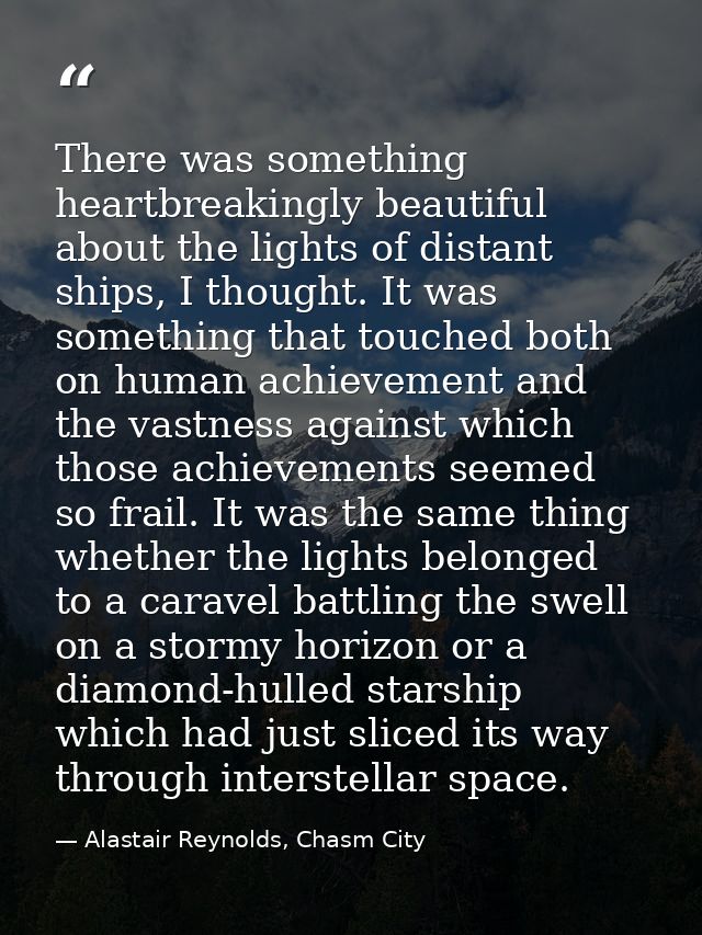 There was something heartbreakingly beautiful about the lights of distant ships, I thought. It was something that touche — Alastair Reynolds, Chasm City
