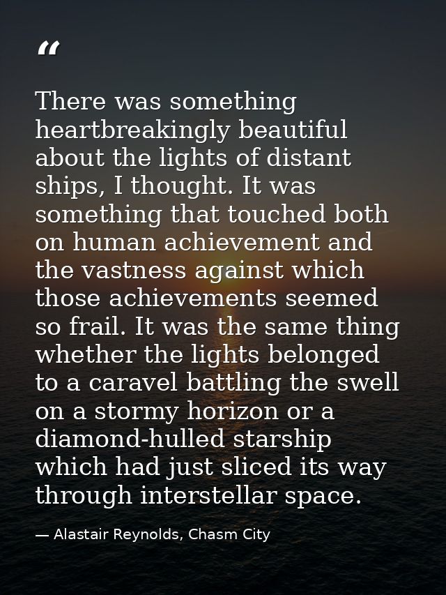 There was something heartbreakingly beautiful about the lights of distant ships, I thought. It was something that touche — Alastair Reynolds, Chasm City