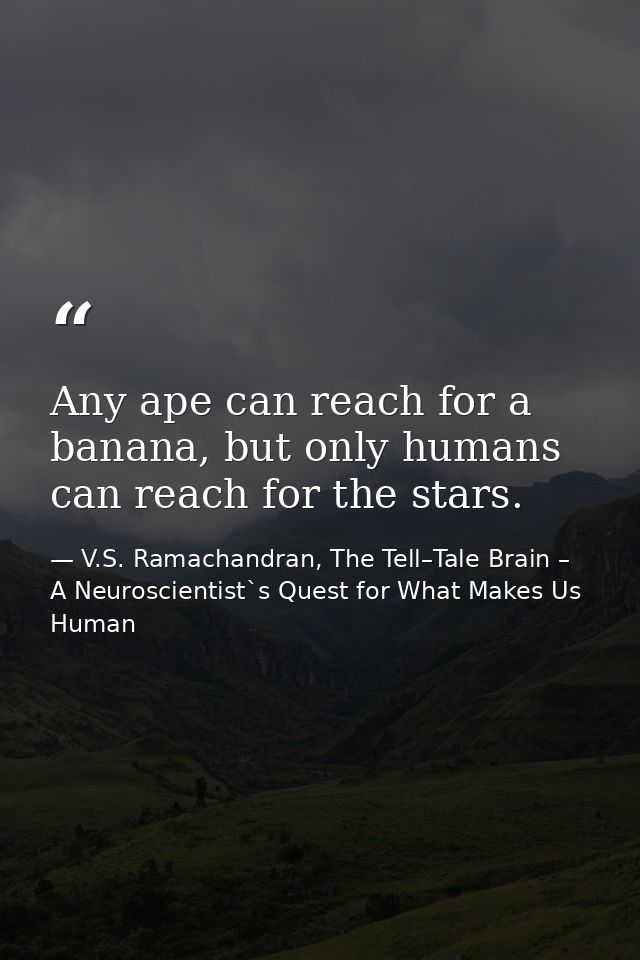 Any ape can reach for a banana, but only humans can reach for the stars. — V.S. Ramachandran, The Tell–Tale Brain – A Neuroscientist`s Quest for What Makes Us Human