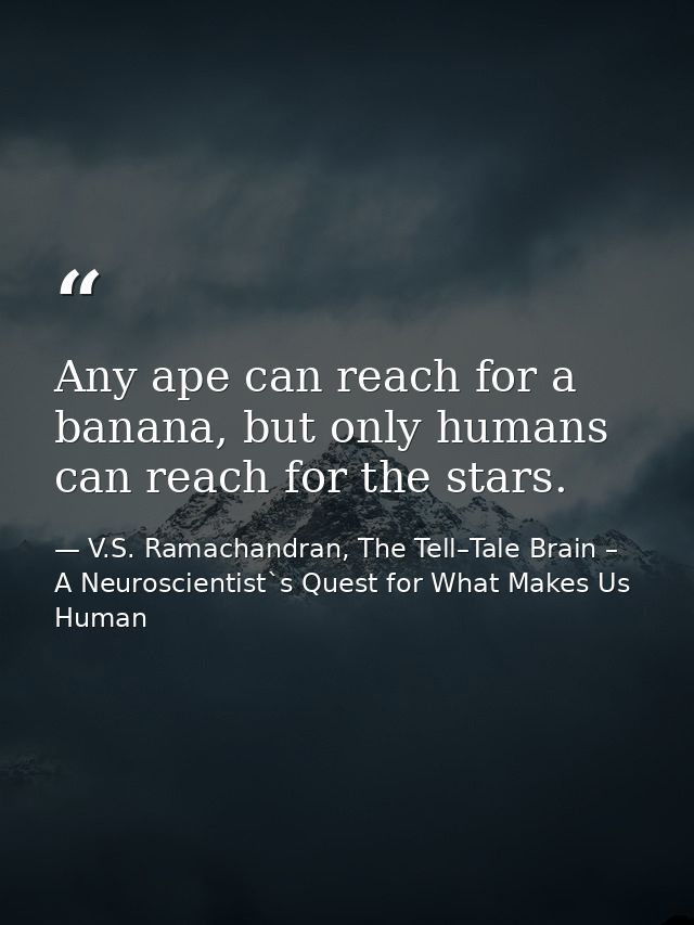 Any ape can reach for a banana, but only humans can reach for the stars. — V.S. Ramachandran, The Tell–Tale Brain – A Neuroscientist`s Quest for What Makes Us Human