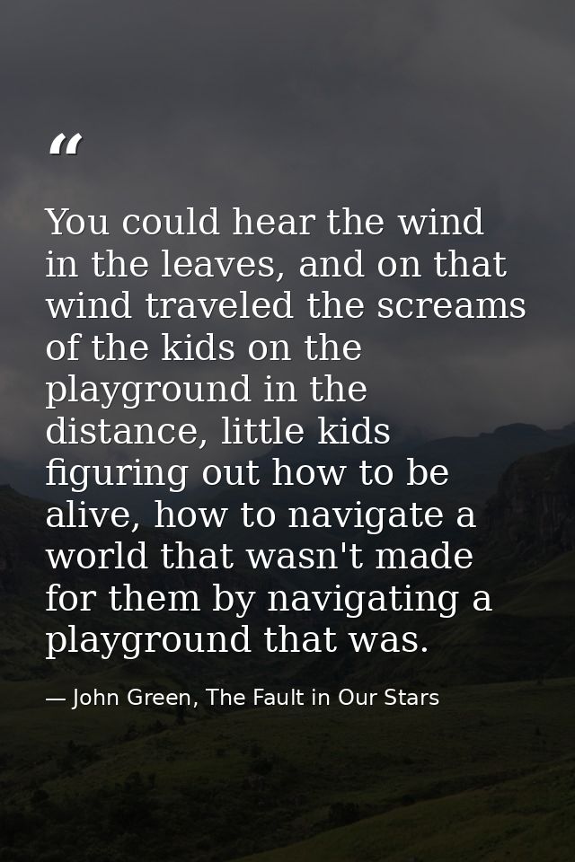 You could hear the wind in the leaves, and on that wind traveled the screams of the kids on the playground in the distan — John Green, The Fault in Our Stars