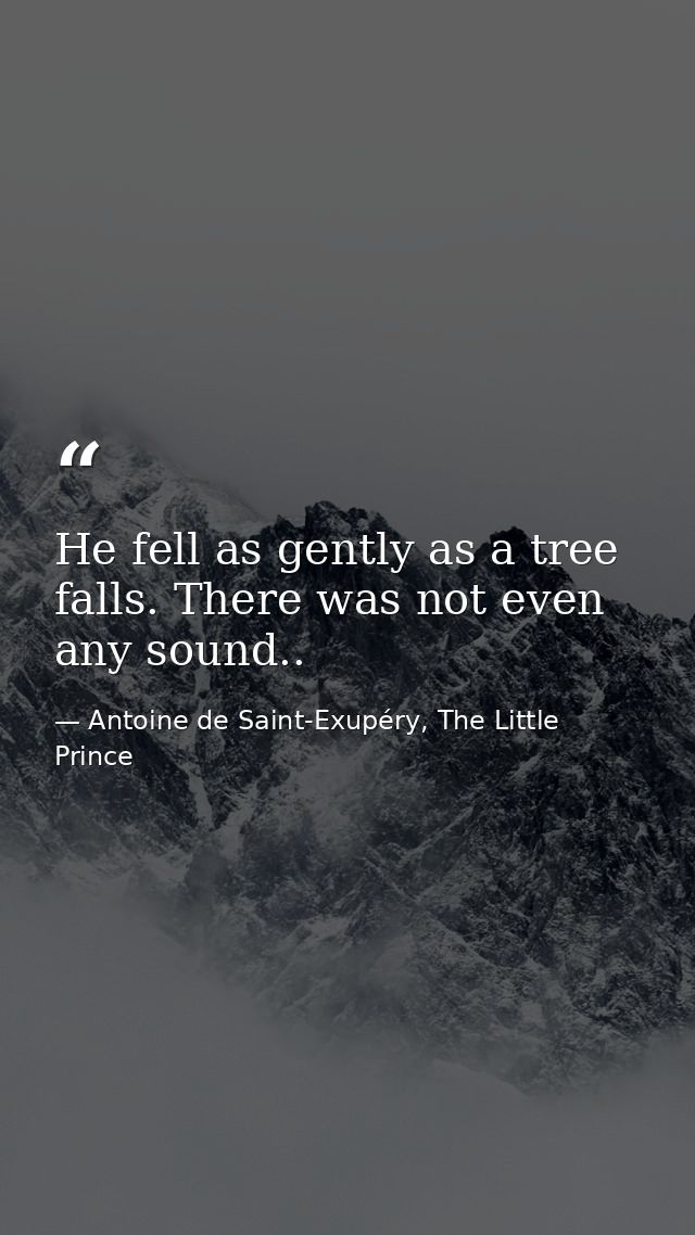 He fell as gently as a tree falls. There was not even any sound.. — Antoine de Saint-Exupéry, The Little Prince