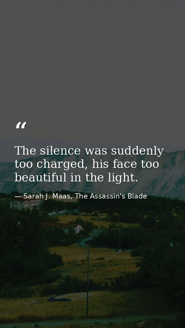 The silence was suddenly too charged, his face too beautiful in the light. — Sarah J. Maas, The Assassin's Blade
