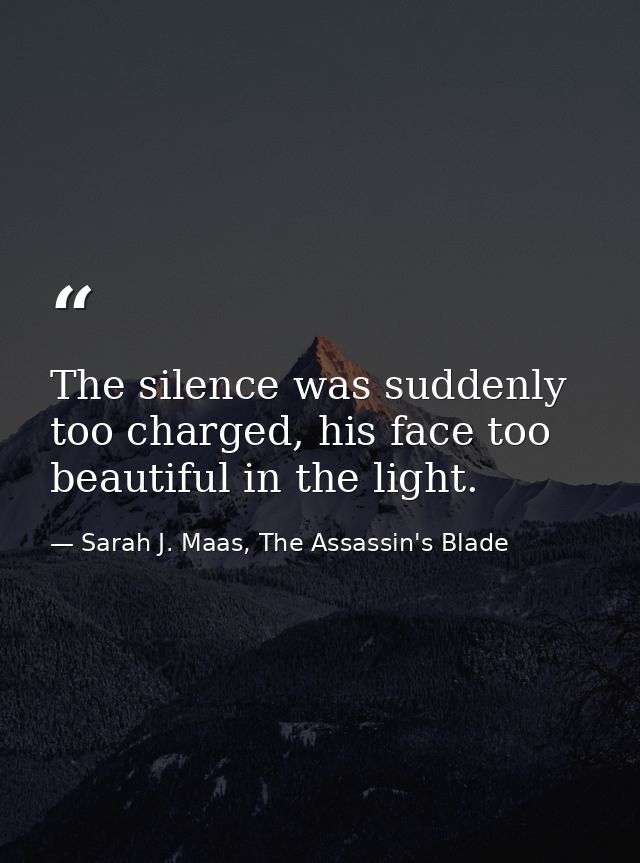 The silence was suddenly too charged, his face too beautiful in the light. — Sarah J. Maas, The Assassin's Blade
