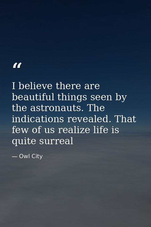 I believe there are beautiful things seen by the astronauts. The indications revealed. That few of us realize life is qu — Owl City