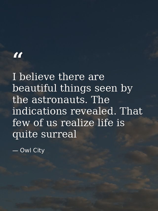 I believe there are beautiful things seen by the astronauts. The indications revealed. That few of us realize life is qu — Owl City