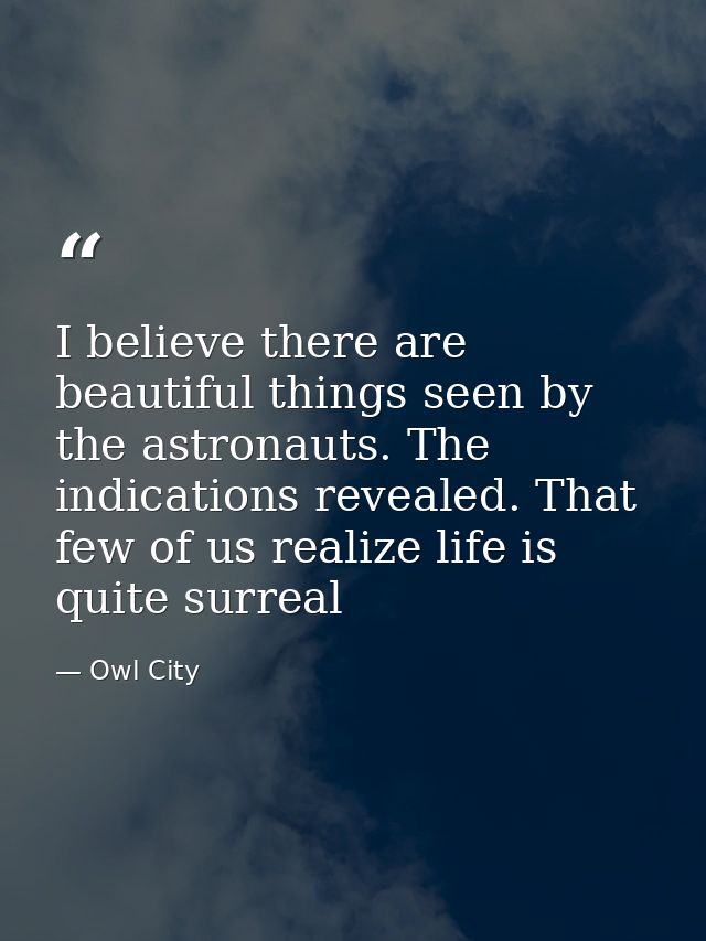 I believe there are beautiful things seen by the astronauts. The indications revealed. That few of us realize life is qu — Owl City