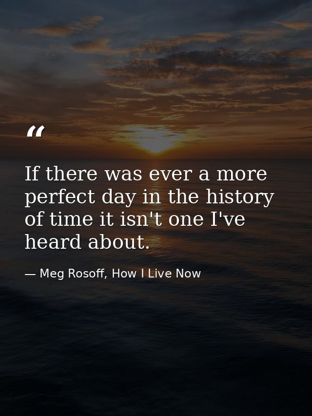 If there was ever a more perfect day in the history of time it isn't one I've heard about. — Meg Rosoff, How I Live Now