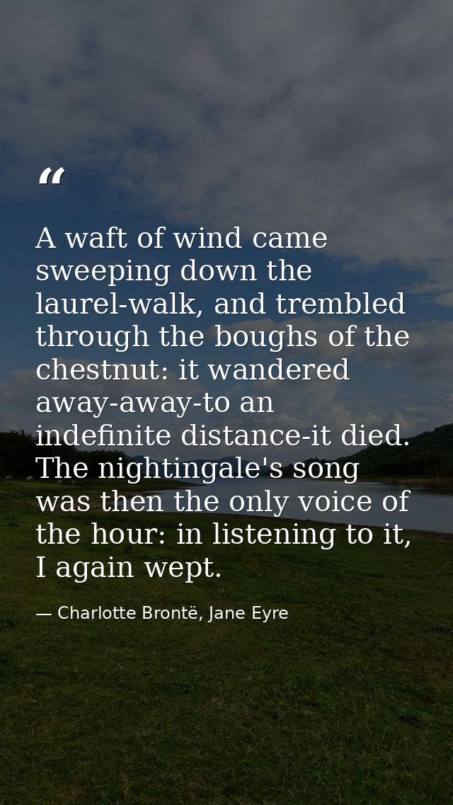 A waft of wind came sweeping down the laurel-walk, and trembled through the boughs of the chestnut: it wandered away-awa — Charlotte Brontë, Jane Eyre