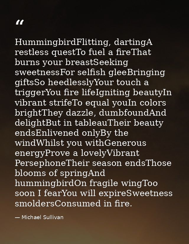 HummingbirdFlitting, dartingA restless questTo fuel a fireThat burns your breastSeeking sweetnessFor selfish gleeBringin — Michael Sullivan