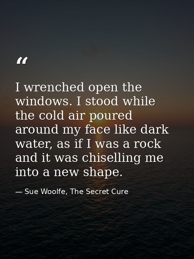 I wrenched open the windows. I stood while the cold air poured around my face like dark water, as if I was a rock and it — Sue Woolfe, The Secret Cure