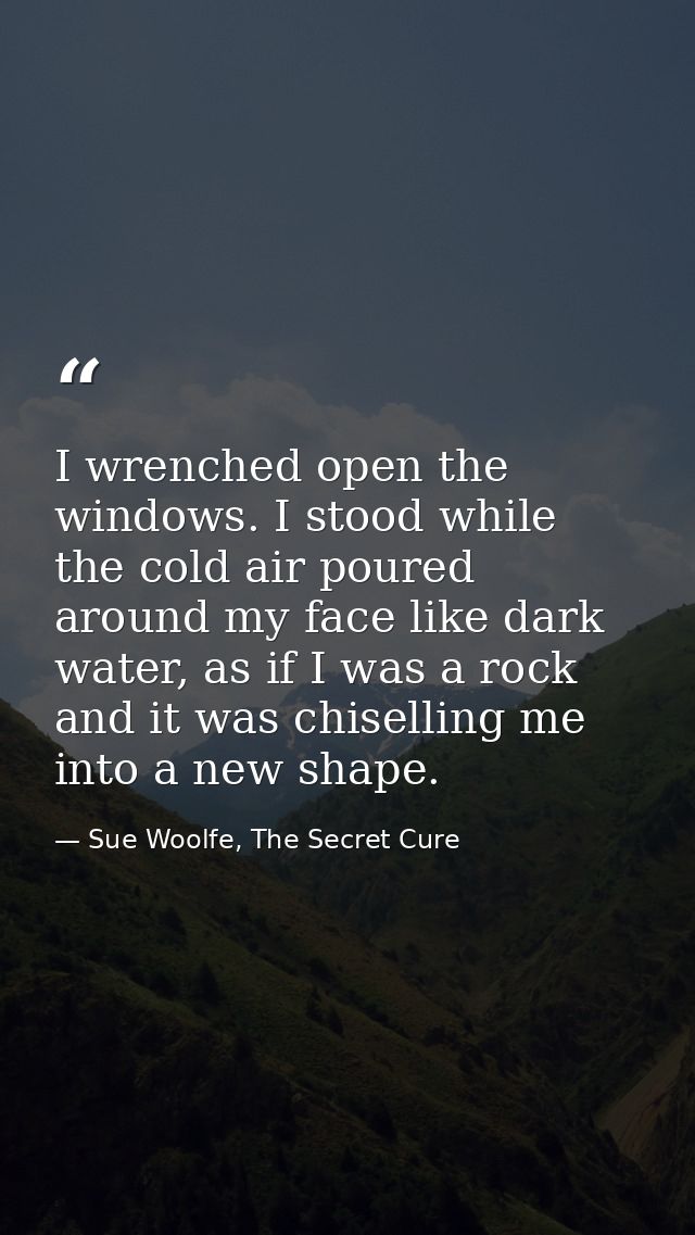 I wrenched open the windows. I stood while the cold air poured around my face like dark water, as if I was a rock and it — Sue Woolfe, The Secret Cure