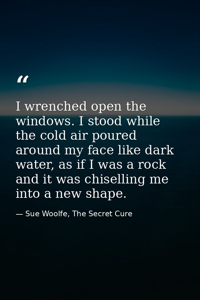 I wrenched open the windows. I stood while the cold air poured around my face like dark water, as if I was a rock and it — Sue Woolfe, The Secret Cure